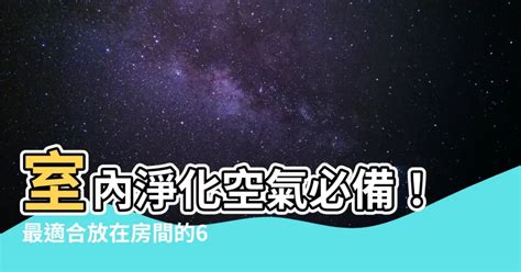 適合放在房間的植物|室內可以放什麼植物？根據空間選擇推薦品種，照護指。